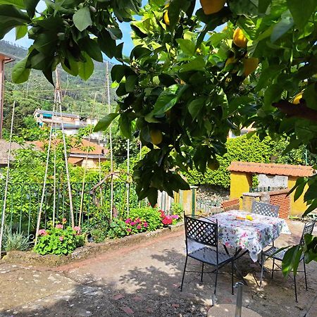 Affittacamere Sophie Monterosso al Mare Luaran gambar
